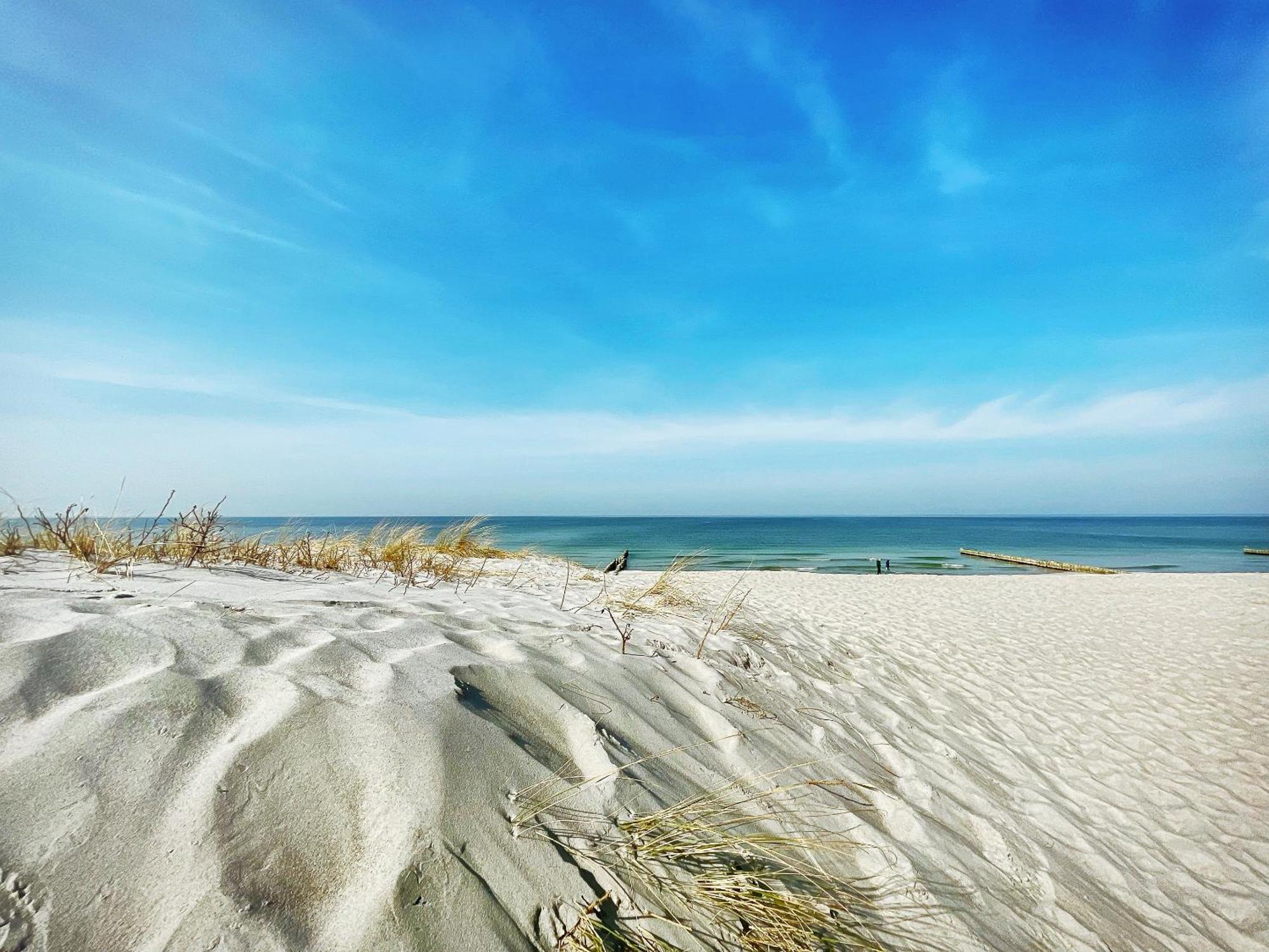 Strandhaus Claassen 09 Ahrenshoop Dış mekan fotoğraf